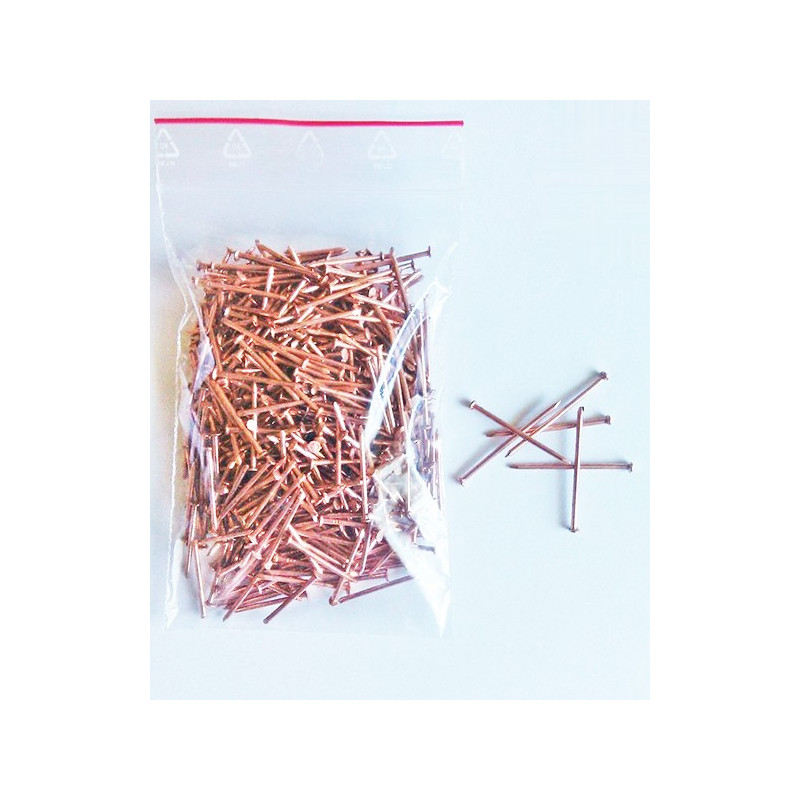 Nails 1.2X20 galvanized (0.10 kg)